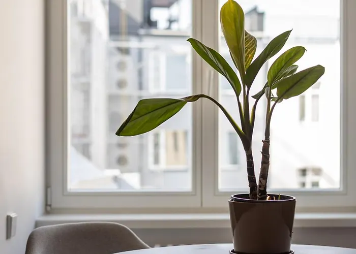 公寓 Tasteful 1bd Centre *