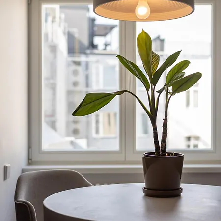 Apartment Tasteful 1bd Centre *